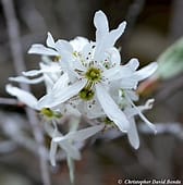 Load image into Gallery viewer, Beauty Pack